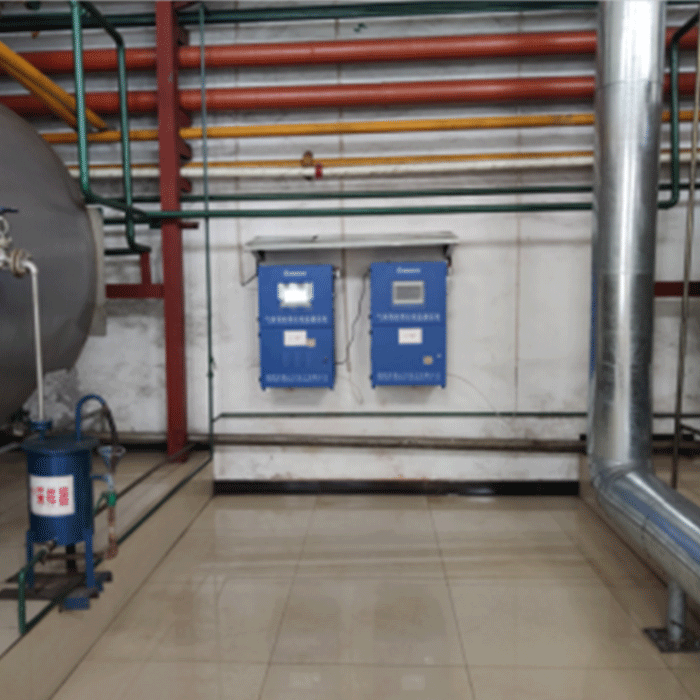 智能监测，高效环保：樱桃免费视频樱桃视频免费仪引领天然气锅炉排放迈向新时代