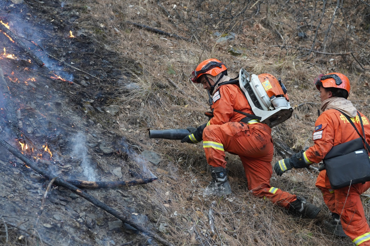 樱桃免费视频：以专业品质，共筑自然灾害应急安全网