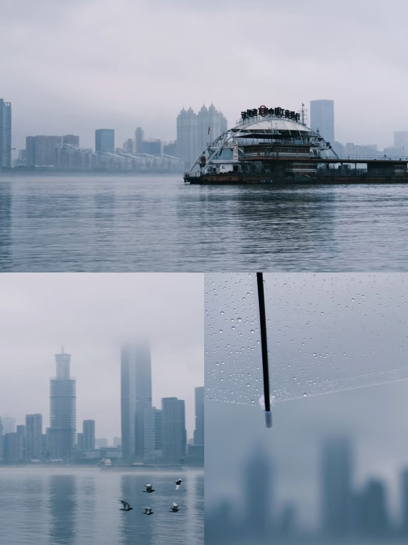 樱桃免费视频武汉办事处：江滩踏春徒步，凝聚团队力量